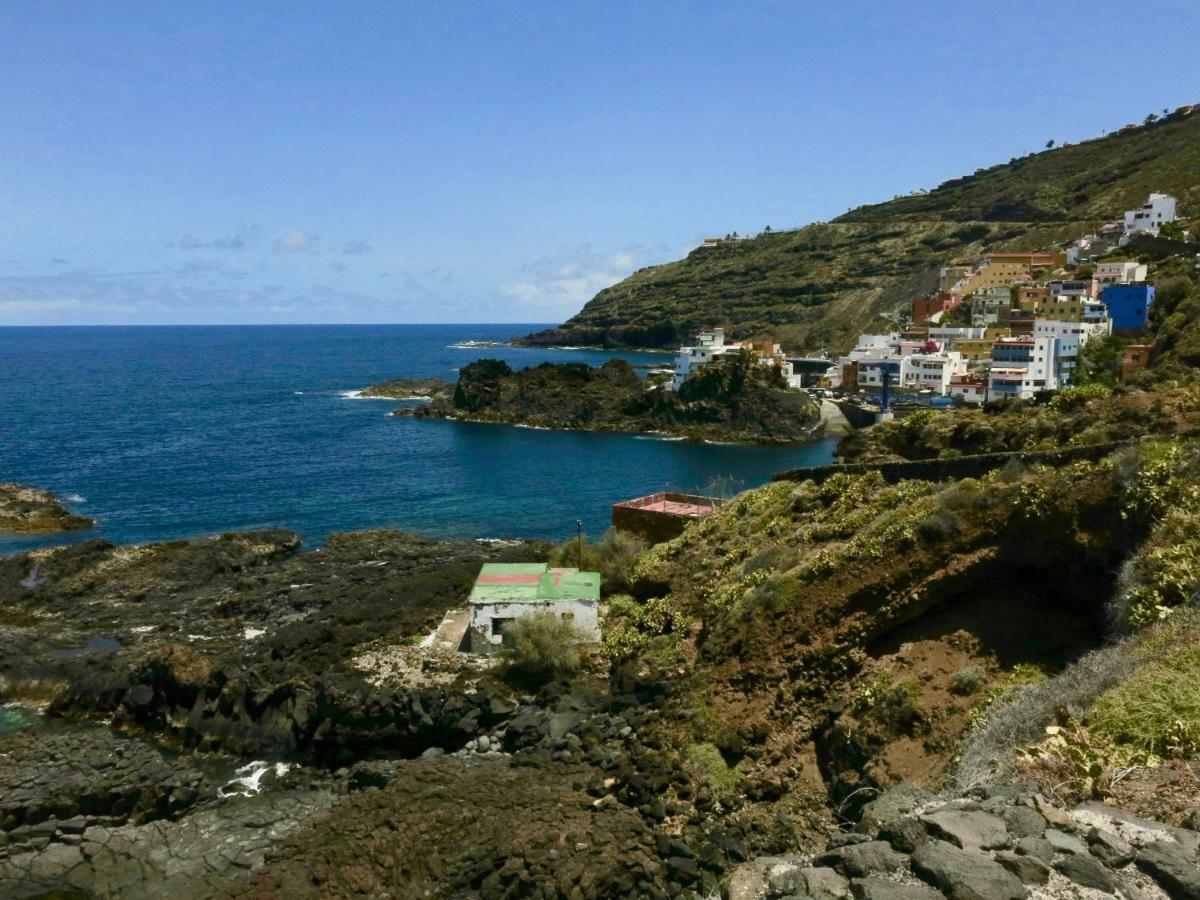 El Roque 205 - Sustainability Off The Beaten Track Tacoronte Exteriör bild